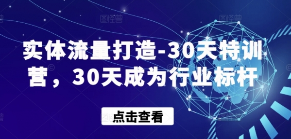 实体流量打造-30天特训营，30天成为行业标杆 - 163资源网-163资源网