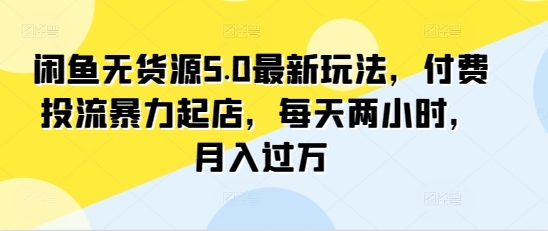 闲鱼无货源5.0最新玩法，付费投流暴力起店，每天两小时，月入过万! - 163资源网-163资源网