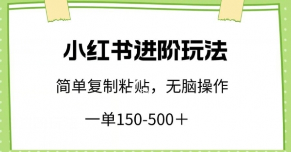 小红书进阶玩法，一单150-500+，简单复制粘贴，小白也能轻松上手【揭秘】 - 163资源网-163资源网