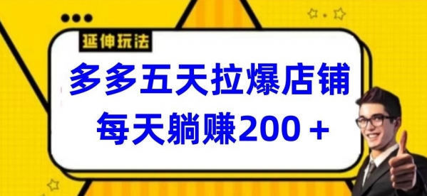 多多五天拉爆店铺，每天躺赚200+【揭秘】 - 163资源网-163资源网