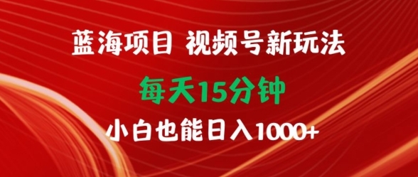 蓝海项目，视频号新玩法，每天15分钟，小白也能日入1000+ - 163资源网-163资源网