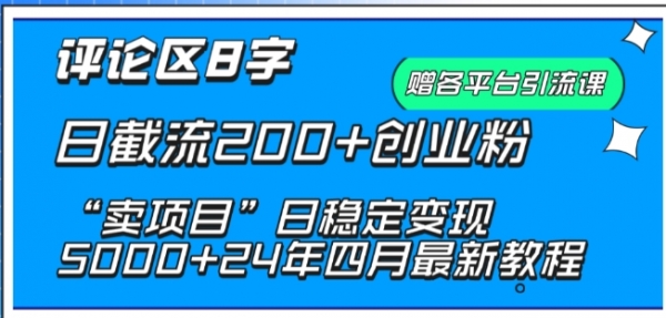 抖音评论区8字日截流200+创业粉 “卖项目”日稳定变现5000+【揭秘】 - 163资源网-163资源网