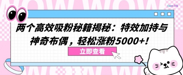 两个高效吸粉秘籍揭秘：特效加持与神奇布偶，轻松涨粉5000+【揭秘】 - 163资源网-163资源网