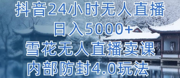 抖音24小时无人直播 日入5000+，雪花无人直播卖课，内部防封4.0玩法【揭秘】 - 163资源网-163资源网