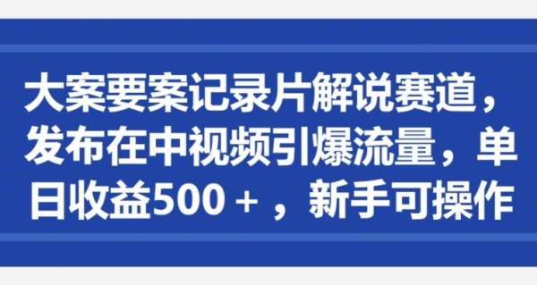 大案要案记录片解说赛道，发布在中视频引爆流量，单日收益500+，新手可操作 - 163资源网-163资源网