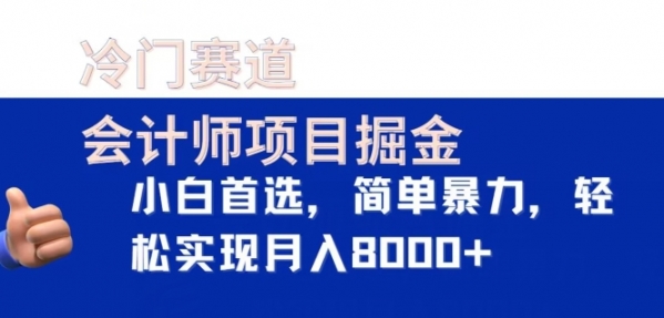 冷门赛道，会计师项目掘金，小白首选，简单暴力，轻松实现月入8000+ - 163资源网-163资源网