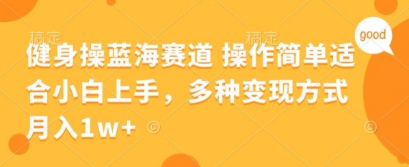 健身操蓝海赛道 操作简单 适合小白上手，多种变现方式，月入1W+【揭秘】 - 163资源网-163资源网