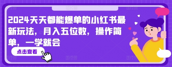 2024天天都能爆单的小红书最新玩法，月入五位数，操作简单，一学就会【揭秘】 - 163资源网-163资源网