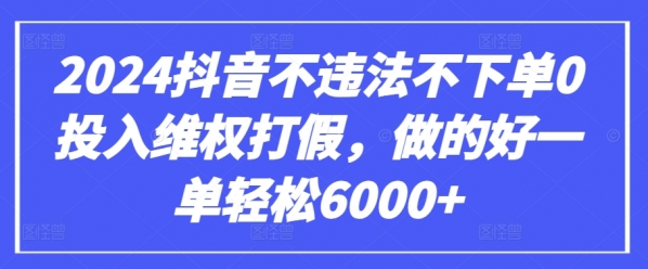 2024抖音不违法不下单0投入**打假，做的好一单轻松6000+【仅揭秘】 - 163资源网-163资源网