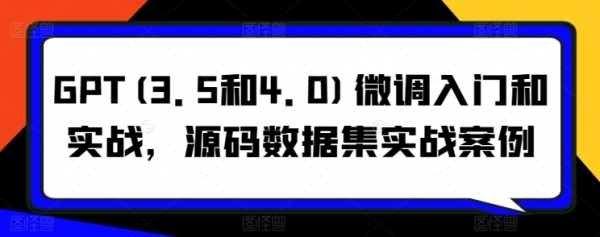 GPT(3.5和4.0)微调入门和实战，源码数据集实战案例 - 163资源网-163资源网