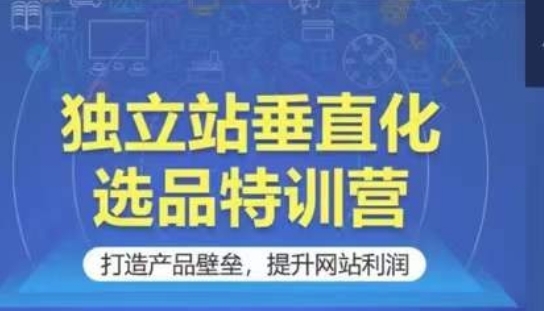 独立站垂直化选品特训营，打造产品壁垒，提升网站利润 - 163资源网-163资源网