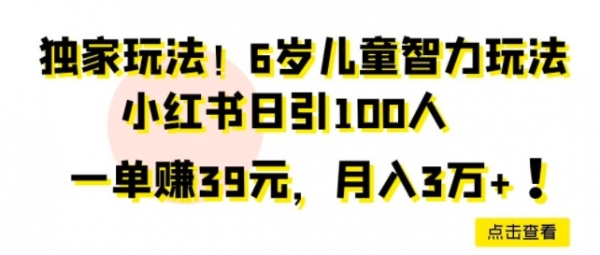 独家玩法，6岁儿童智力玩法，小红书日引100人 - 163资源网-163资源网