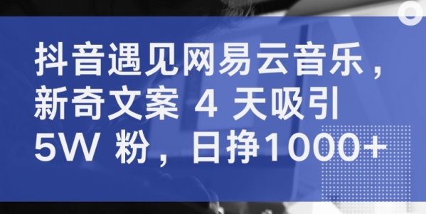 抖音遇见网易云音乐，新奇文案 4 天吸引 5W 粉，日挣1000+【揭秘】 - 163资源网-163资源网