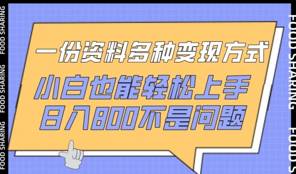 一份资料多种变现方式，小白也能轻松上手，日入800不是问题【揭秘】 - 163资源网-163资源网