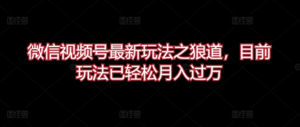 微信视频号最新玩法之狼道，目前玩法已轻松月入过万【揭秘】 - 163资源网-163资源网