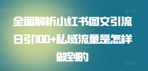 全面解析小红书图文引流日引100+私域流量是怎样做到的【揭秘】 - 163资源网-163资源网