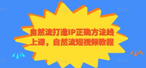 自然流打造IP正确方法线上课，自然流短视频教程 - 163资源网-163资源网