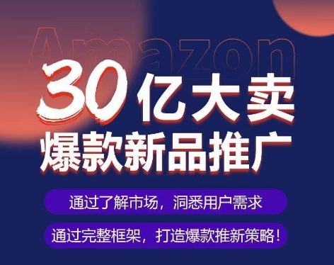 亚马逊·30亿大卖爆款新品推广，可复制、全程案例实操的爆款推新SOP - 163资源网-163资源网