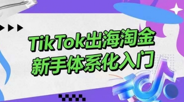 TikTok出海淘金，新手体系化入门，零基础快速入门，掌握短视频、直播带货等引流到变现的知识 - 163资源网-163资源网