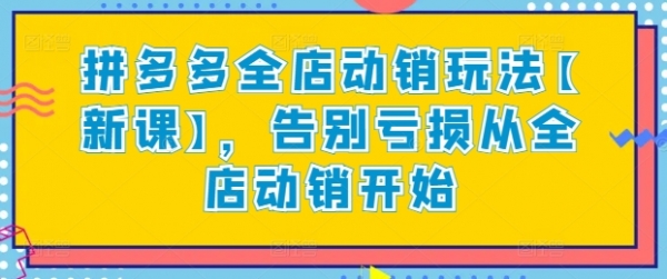 拼多多全店动销玩法【新课】，告别亏损从全店动销开始 - 163资源网-163资源网