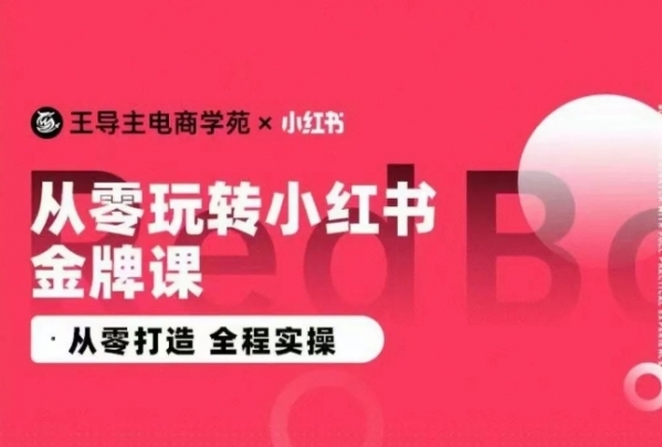 王导主·小红书电商运营实操课，​从零打造 全程实操 - 163资源网-163资源网