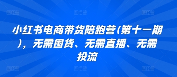 小红书电商带货陪跑营(第十一期)，无需囤货、无需直播、无需投流 - 163资源网-163资源网