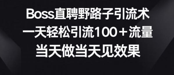 Boss直聘野路子引流术，一天轻松引流100+流量，当天做当天见效果 - 163资源网-163资源网