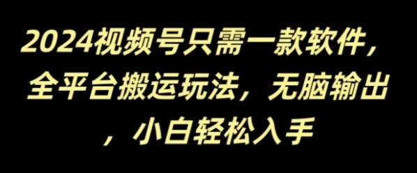 2024视频号只需一款软件，全平台搬运玩法，无脑输出，新手小白也能月入过千 - 163资源网-163资源网