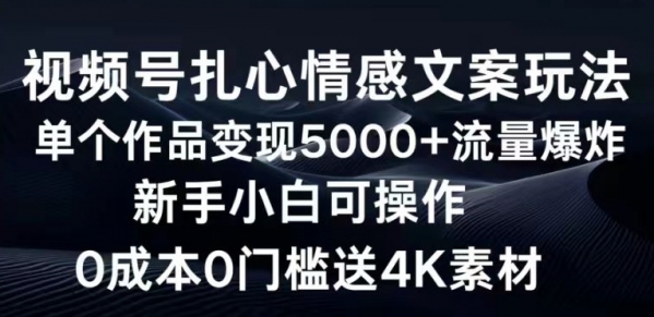 视频号扎心情感文案玩法，单个作品变现5000+，流量爆炸，两分钟一条作品 - 163资源网-163资源网