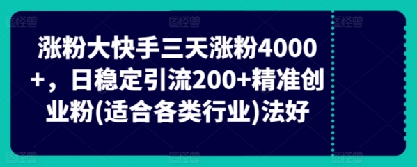 快手三天涨粉4000+，日稳定引流200+精准创业粉(适合各类行业) - 163资源网-163资源网