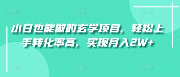 小白也能做的玄学项目，轻松上手转化率高，实现月入2W+ - 163资源网-163资源网