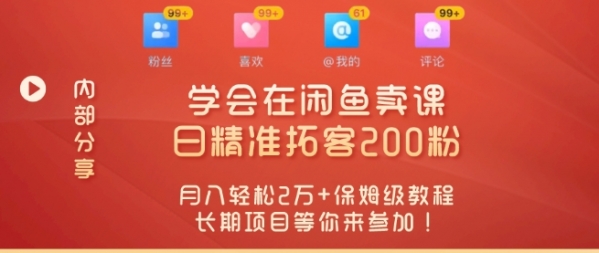 “零基础开启赚钱新时代，学会在闲鱼卖课、日精准拓客200粉 - 163资源网-163资源网