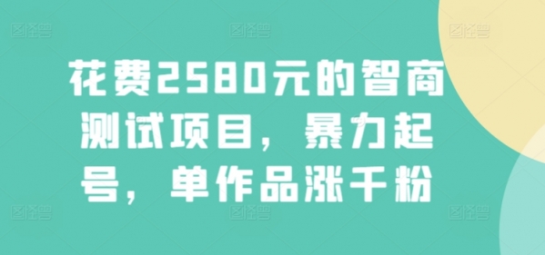 花费2580元的智商测试项目，暴力起号，单作品涨千粉 - 163资源网-163资源网