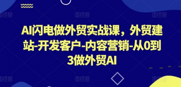 AI闪电做外贸实战课，​外贸建站-开发客户-内容营销-从0到3做外贸AI - 163资源网-163资源网