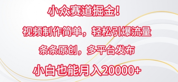 小众赛道掘金，视频制作简单，轻松引爆流量，条条原创，多平台发布【揭秘】 - 163资源网-163资源网