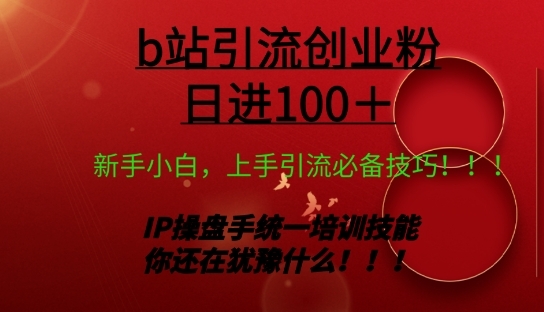 日引创业粉 100+ b 站全套打法【实操视频】 - 163资源网-163资源网