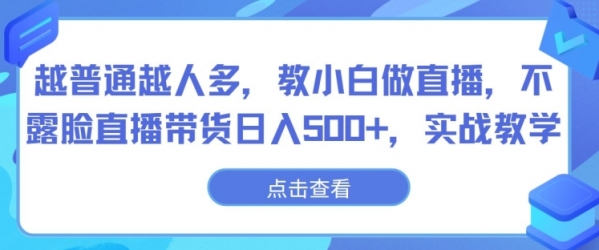 越普通越人多，教小白做直播，不露脸直播带货日入500+，实战教学 - 163资源网-163资源网