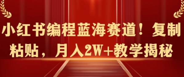 小红书编程蓝海赛道!复制粘贴，月入2W+教学揭秘 - 163资源网-163资源网