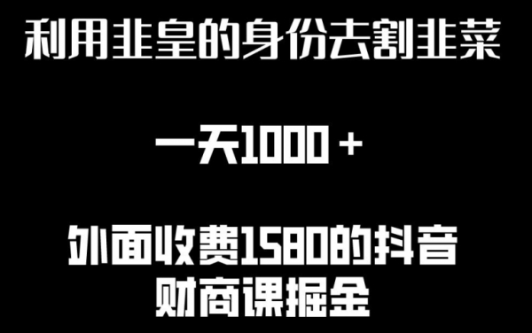 利用非皇的身份去割韭菜，一天1000+(附详细资源)【揭秘】 - 163资源网-163资源网