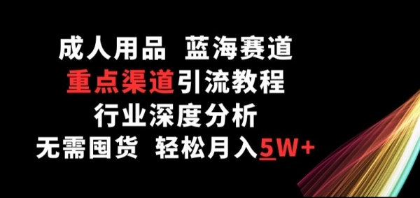 **用品，蓝海赛道，重点渠道引流教程，行业深度分析，无需囤货，轻松月入5W+【揭秘】 - 163资源网-163资源网