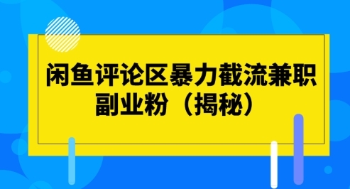 闲鱼评论区暴力截流兼职副业粉(揭秘) - 163资源网-163资源网