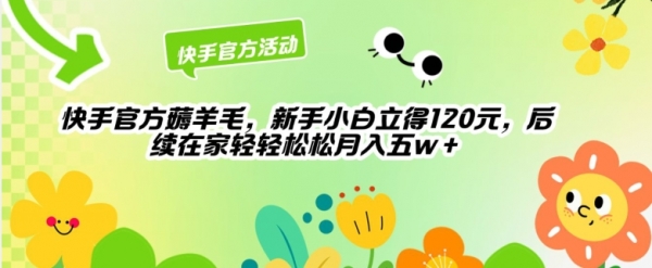 快手官方薅羊毛新手小白立得120元，后续在家轻轻松松5w - 163资源网-163资源网