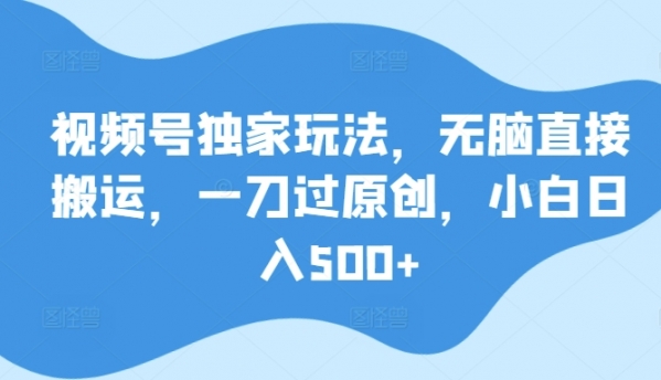 视频号独家玩法，无脑直接搬运，一刀过原创，小白日入500+ - 163资源网-163资源网