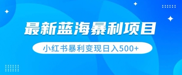 最新暴利蓝海项目，小红书图文变现，轻松实现日收益500+ - 163资源网-163资源网