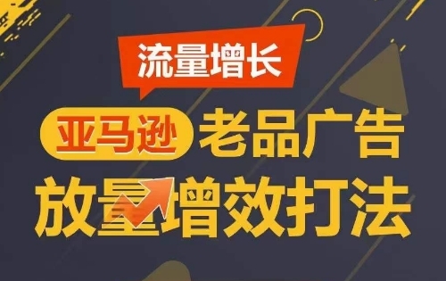 流量增长 亚马逊老品广告放量增效打法，短期内广告销量翻倍 - 163资源网-163资源网