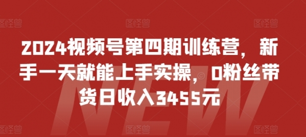 2024视频号第四期训练营，新手一天就能上手实操，0粉丝带货日收入3455元 - 163资源网-163资源网