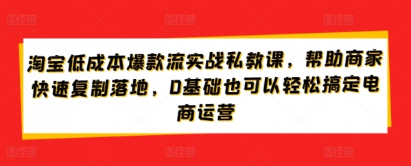 淘宝低成本爆款流实战私教课，帮助商家快速复制落地，0基础也可以轻松搞定电商运营 - 163资源网-163资源网