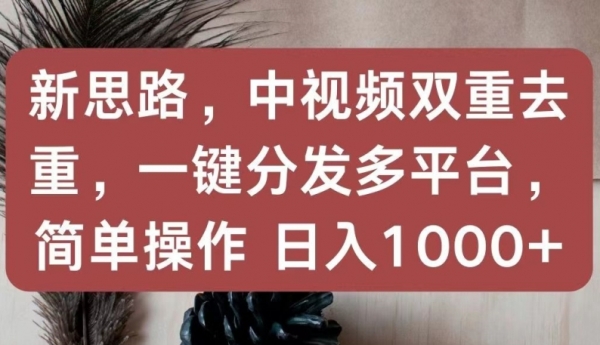 新思路，中视频双重去重，一键分发多平台，简单操作，日入1000+【揭秘】 - 163资源网-163资源网