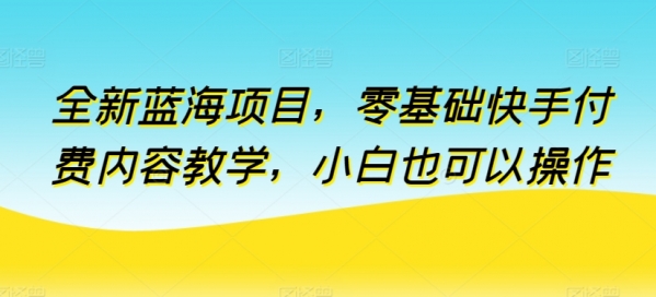 全新蓝海项目，零基础快手付费内容教学，小白也可以操作【揭秘】 - 163资源网-163资源网