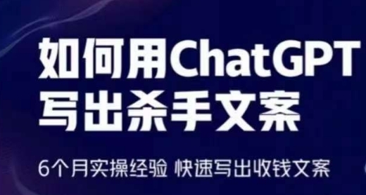 如何用ChatGPT写出**文案，6个月实操经验，快速写出收钱文案 - 163资源网-163资源网